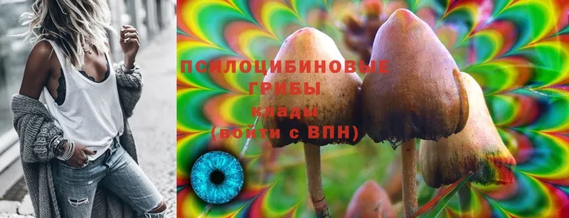 Псилоцибиновые грибы Magic Shrooms  Реутов 